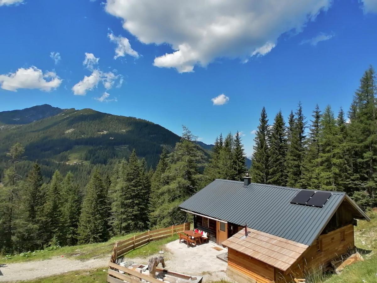 Villa Ampferkaralm Hütte Forstau  Exterior foto